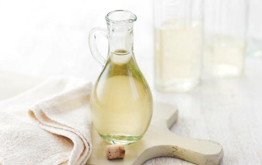 cuka menyembuhkan gatal gigitan semut